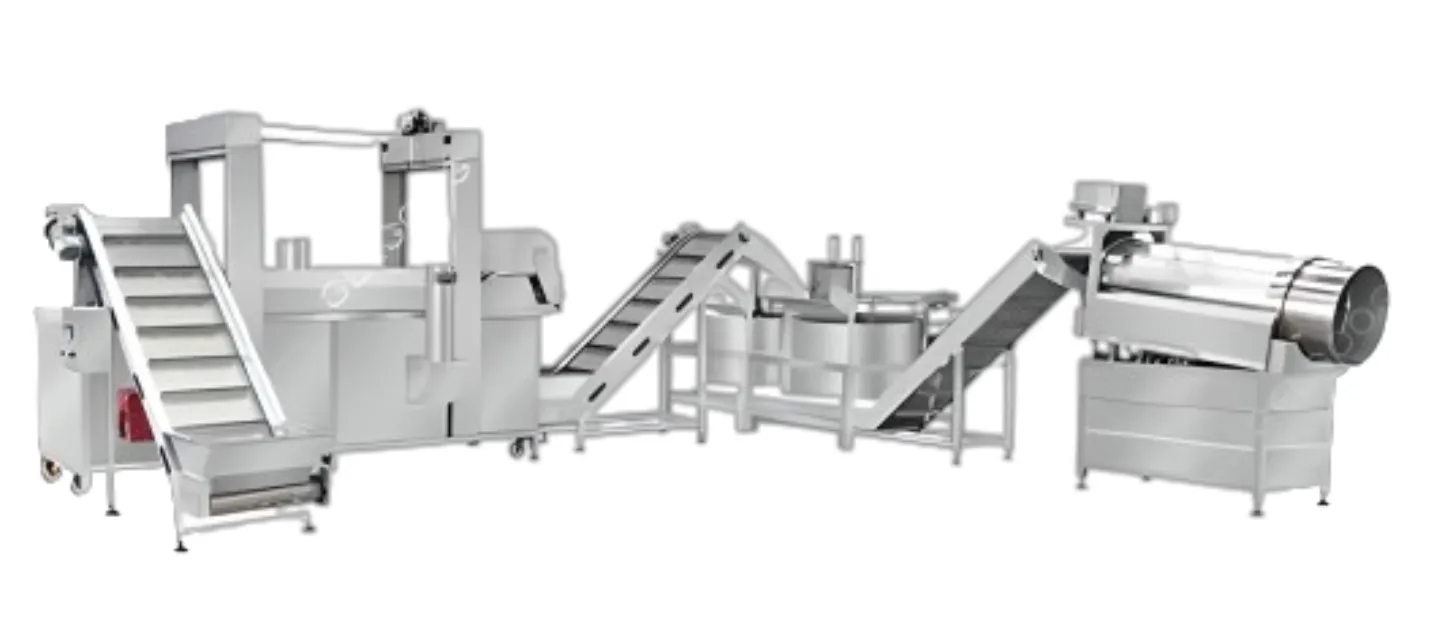 Namkeen Frying Line - food processing machinery by Foodax Engineering Works